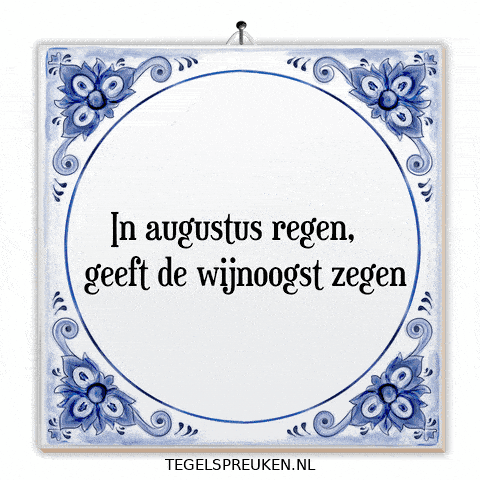 Wijsheid Troost GIF by Tegelspreuken.nl