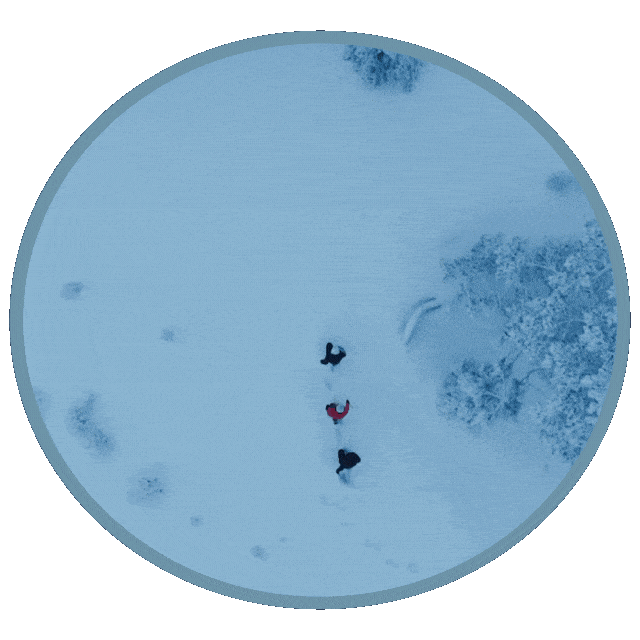 Pop Music Snow Sticker by Winona Oak