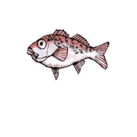 yasuokakamaboko 安岡蒲鉾 ホタルジャコ ハランボ Sticker