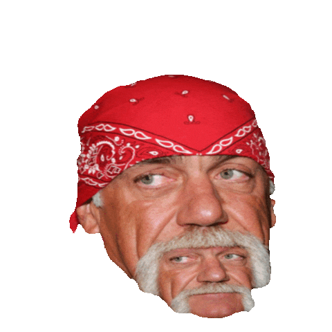 Hulk Hogan Sticker by imoji