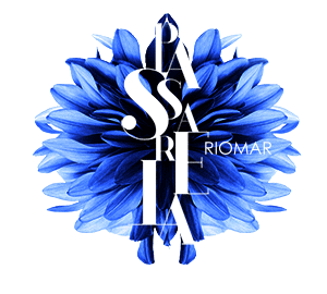riomarrecife giphyupload riomarrecife Sticker