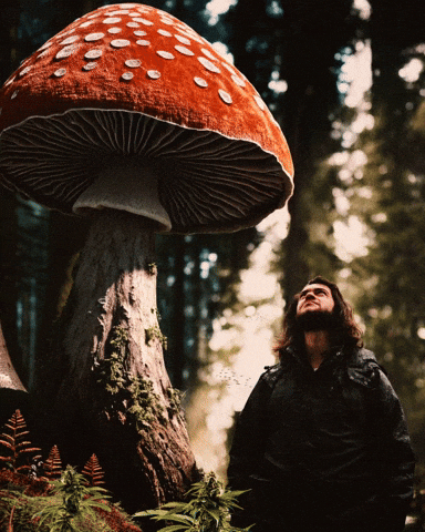 Happy Mushroom GIF