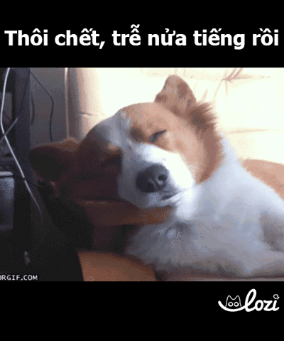 duong5 GIF by Lozi Singapore Co.