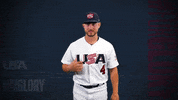 Pro GIF by USA Baseball