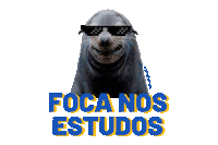 Estudos Ufsc Sticker by Pró Floripa
