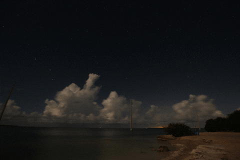 good night stars GIF by Jean Scuderi