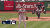 Yell Major League Baseball GIF by MLB