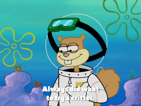 season 4 GIF by SpongeBob SquarePants