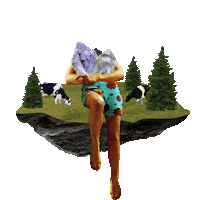 shambhala_mf shambhala shambhalamusicfestival shambhala2024 crystalwoman Sticker