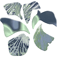 PradaBeauty flower iris pradabeauty lesinfusions Sticker