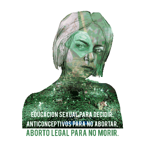 brendaopazo giphyupload feminismo aborto abortolegal Sticker