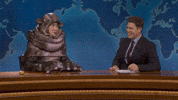 Colin Jost Laughing GIF by Saturday Night Live