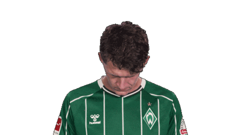 Werder Bremen Stage Sticker by Bundesliga