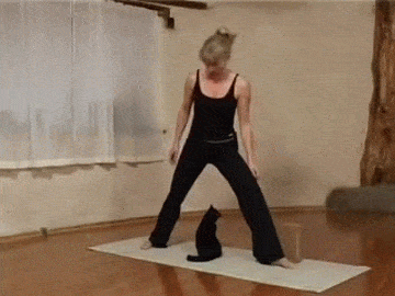 grab GIF