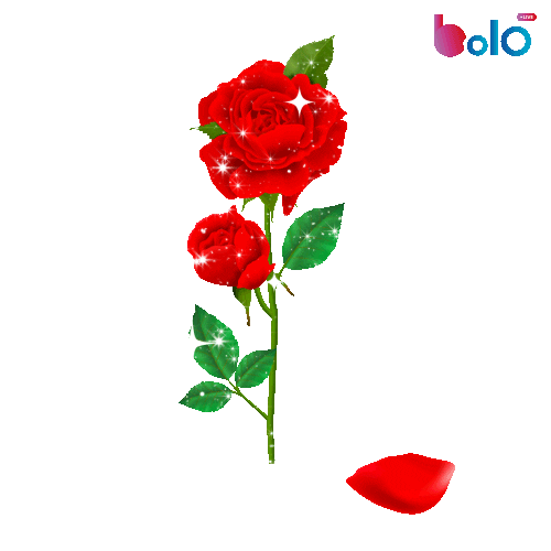 Heart Love Sticker by BOLO LIVE