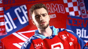 Frantisek GIF by HC Dynamo Pardubice
