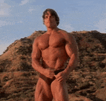 arnold schwarzenegger GIF