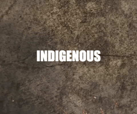 Indigenous Peoples Day GIF