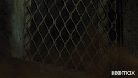 Wonder Woman Dc GIF by HBO Max