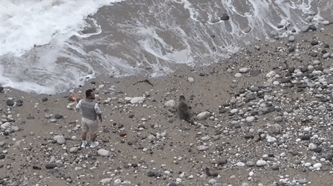 yj_jane giphyupload GIF