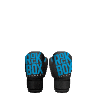 Rock And Roll Fighting Sticker by RockBox Fitness