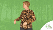 Boom Plant GIF by Het Groen Werkt