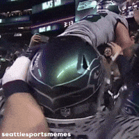 Football Nfl GIF