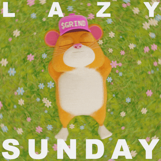 Happy Sunday GIF by Grind
