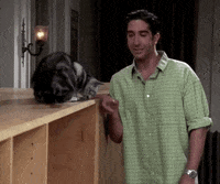 season 4 friends GIF