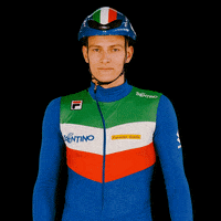 federazioneghiaccio ice wintersport sportinvernali speedskating GIF