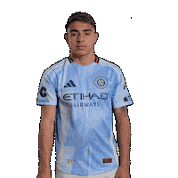 Mls Sticker by New York City FC