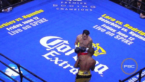 Brooklyn GIF by Premier Boxing Champions