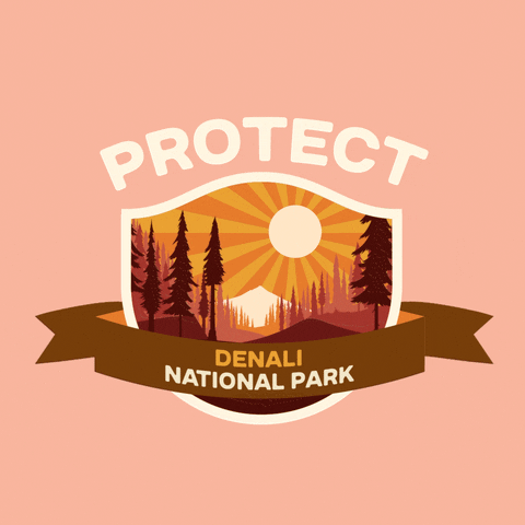 Digital art gif. Inside a shield insignia is a cartoon image of a forest of tall, thick pine trees in front of a large, pointed white mountain in the background. Text above the shield reads, "protect." Text inside a ribbon overlaid over the shield reads, "Denali National Park," all against a pale pink backdrop.