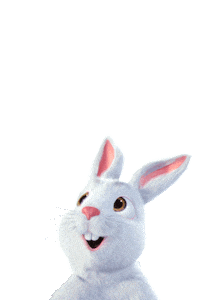 Fibabanka cumhuriyet 29 ekim tavsan hızlı Sticker