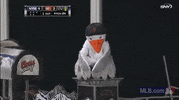 sf 137 GIF by MLB