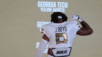 Georgia Tech Football Sport GIF by Georgia Tech Yellow Jackets