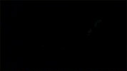 nbc GIF by Timeless