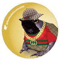 Darwins Frog Trap Sticker by Ranita de Darwin ONG