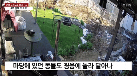 yj_jane giphyupload GIF