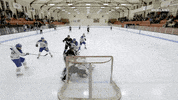 viceland GIF by VICE WORLD OF SPORTS