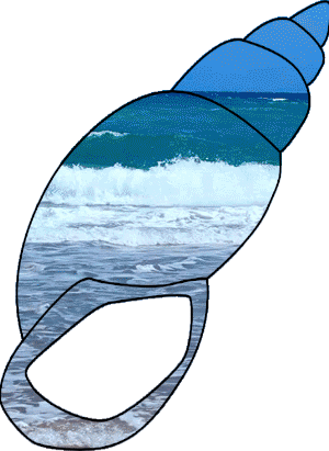 ocean shell GIF