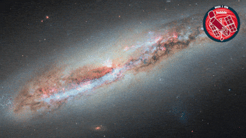 Universe Streaming GIF by ESA/Hubble Space Telescope