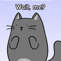 Calling Out Public Speaking GIF by MESA My Emotional Support Animal