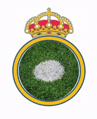 Real Madrid Soccer GIF