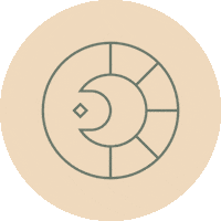 Life Stars Sticker by The Good Hause