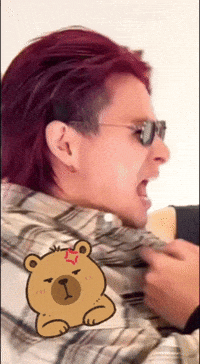 yussasho fight bear brawl くま GIF
