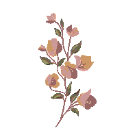 Flowers Sticker by muy mucho