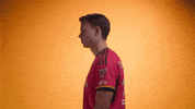 Vamos St Louis GIF by St. Louis CITY SC