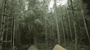 builder GIF by EchoBoom Sports