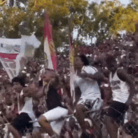 Ecvitoria GIF